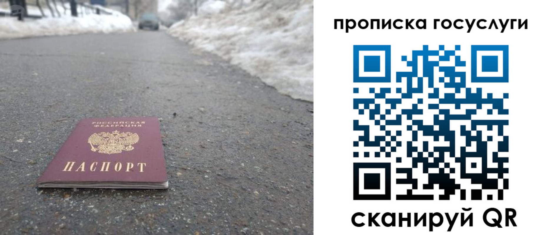 прописка поиск в Ейске